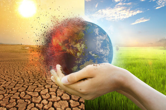 ¿Cómo los seguros pueden ayudar a mitigar el cambio climático?
