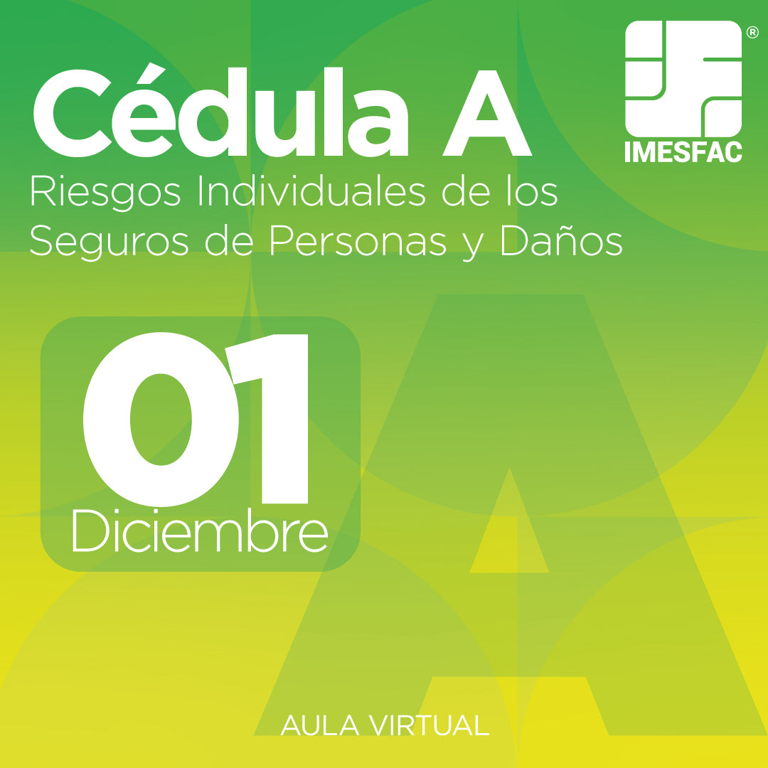 Cédula A: Riesgos Individuales de los Seguros de Personas y de Daños (Online) - Diciembre 2025