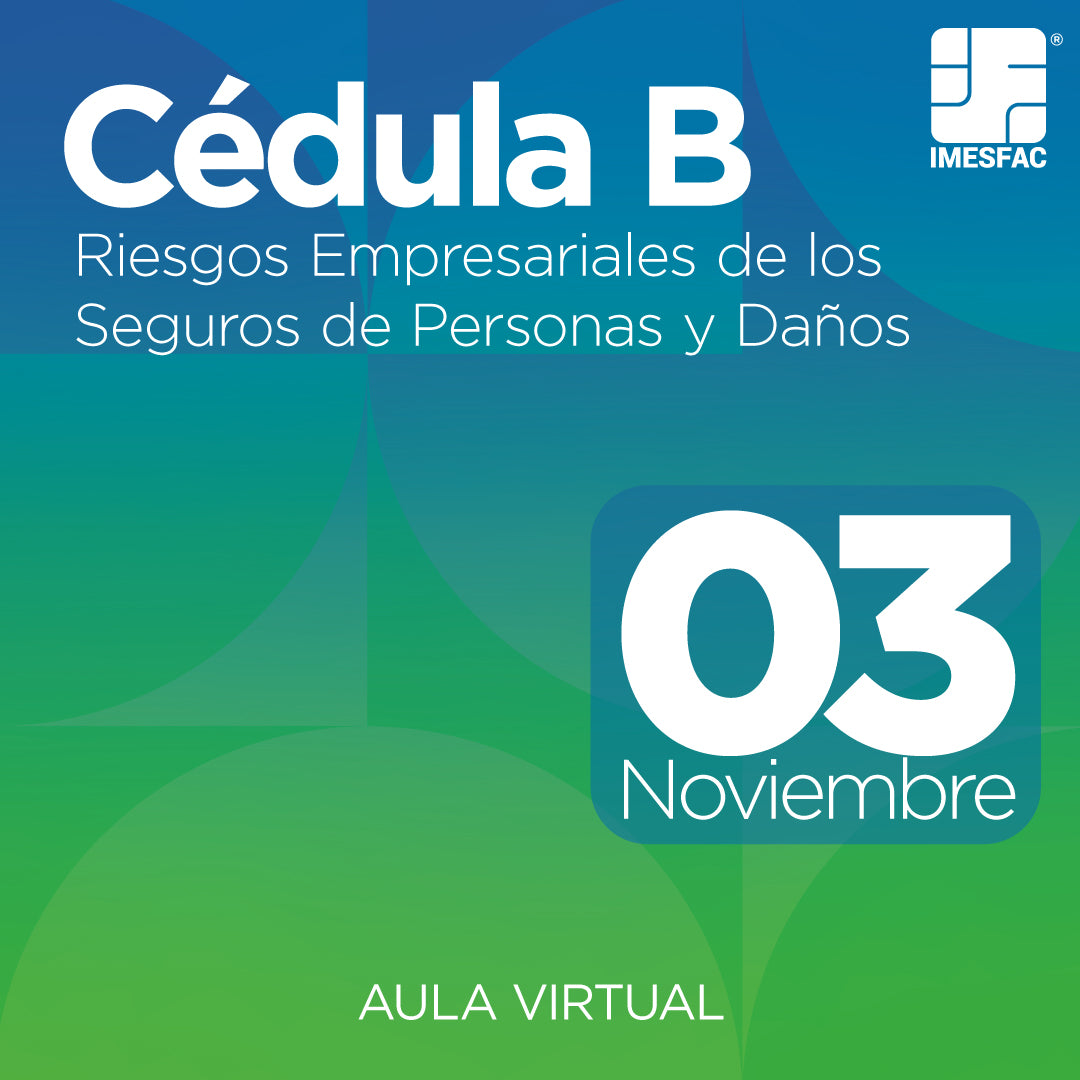 Cédula B: Riesgos Empresariales de los Seguros de Personas y de Daños (Online) - Noviembre 2025