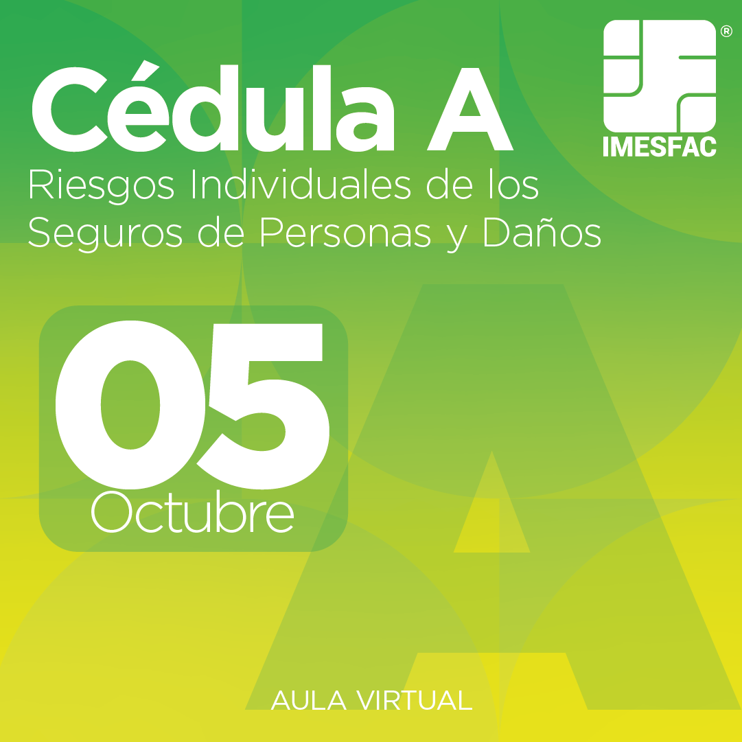 Cédula A: Riesgos Individuales de los Seguros de Personas y de Daños (Online) - Octubre 2026