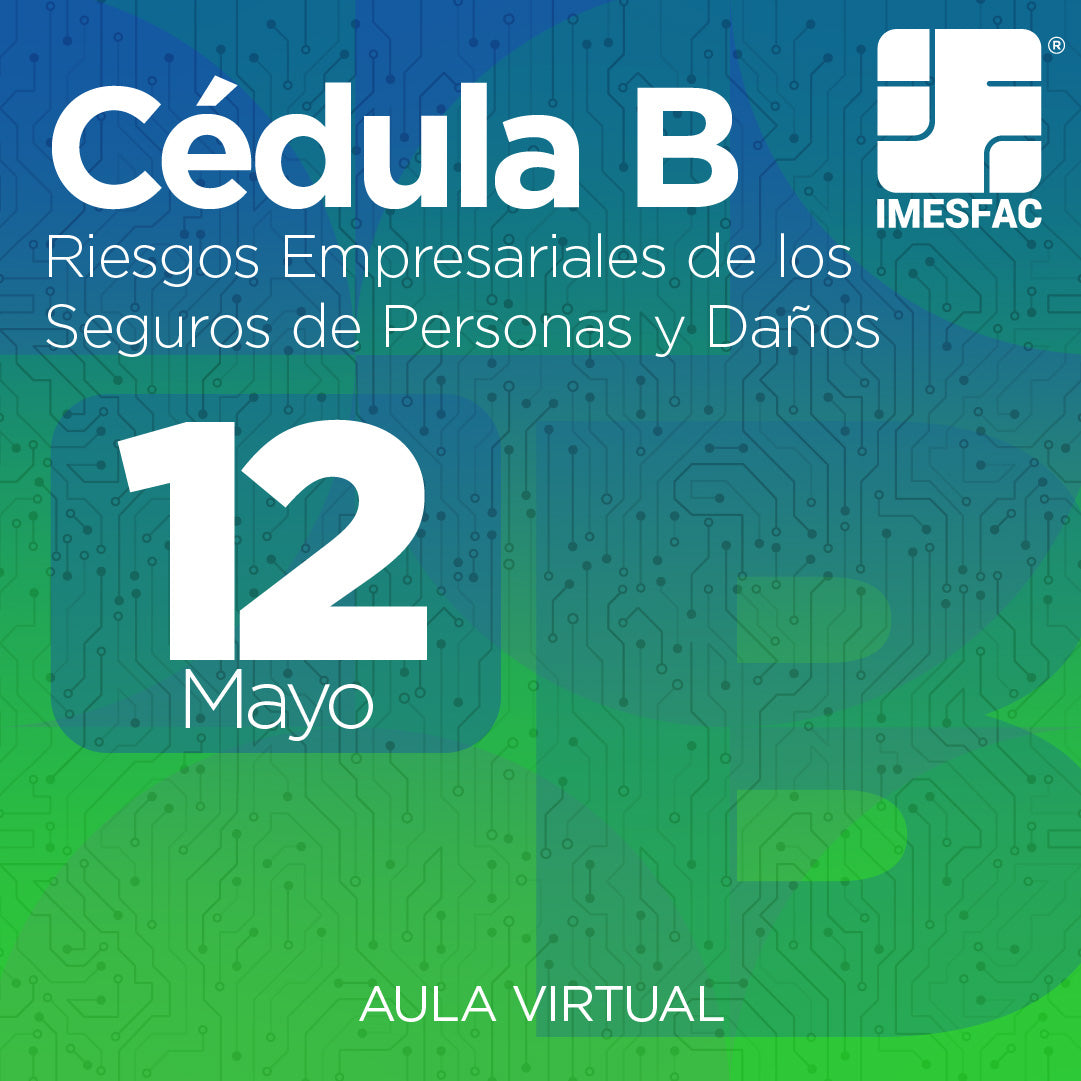 Cédula B: Riesgos Empresariales de los Seguros de Personas y de Daños - Mayo 2025