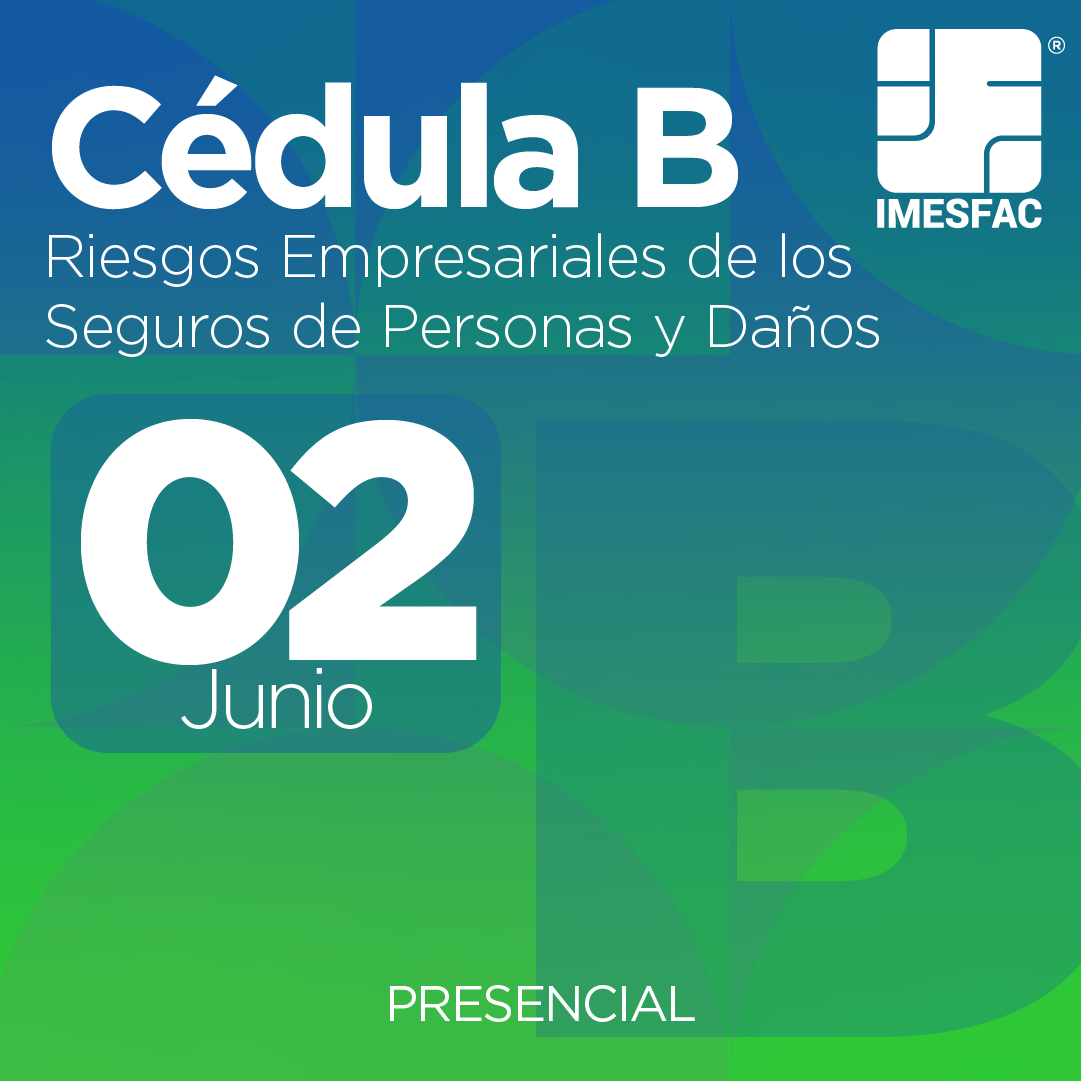 Cédula B: Riesgos Empresariales de los Seguros de Personas y de Daños - Junio 2025