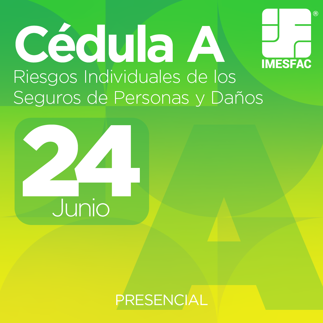 Cédula A: Riesgos Individuales de los Seguros de Personas y de Daños - Junio 2025