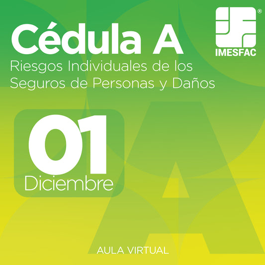 Cédula A: Riesgos Individuales de los Seguros de Personas y de Daños (Online) - Diciembre 2025