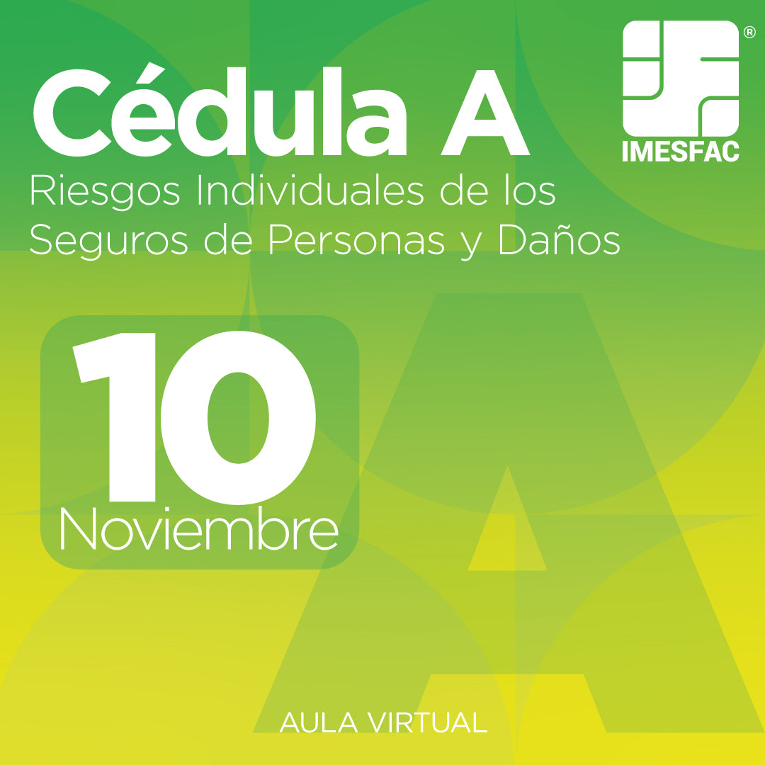 Cédula A: Riesgos Individuales de los Seguros de Personas y de Daños (Online) - Noviembre 2025