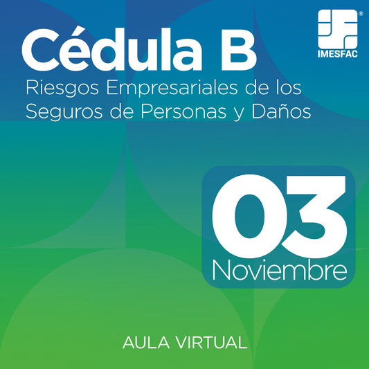 Cédula B: Riesgos Empresariales de los Seguros de Personas y de Daños (Online) - Noviembre 2025