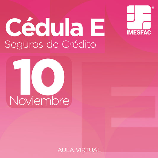 Cédula E: Seguro de Crédito (Online) - Noviembre 2025