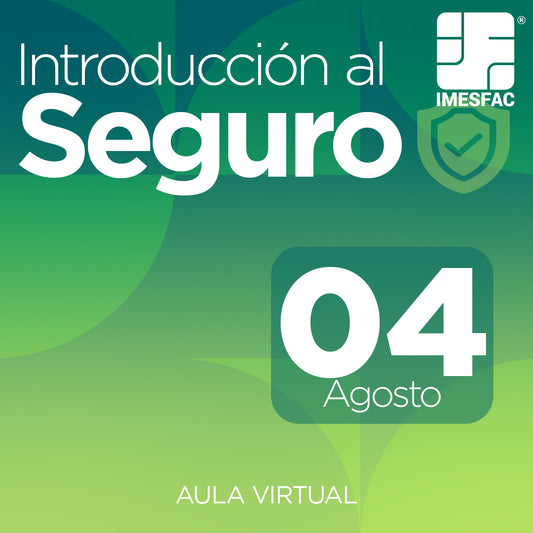 Introducción al Seguro - Agosto 2025