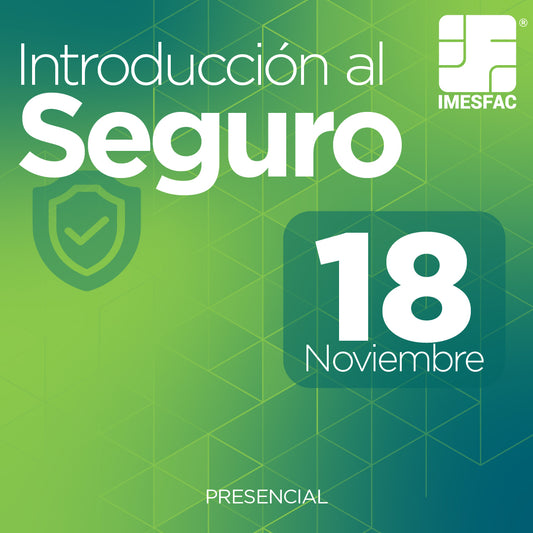 Introducción al Seguro - Noviembre 2025