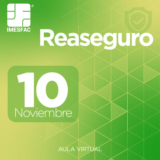 Reaseguro (Online) - Noviembre 2025