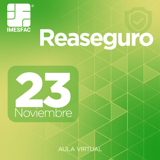 Reaseguro (Online) - Noviembre 2026