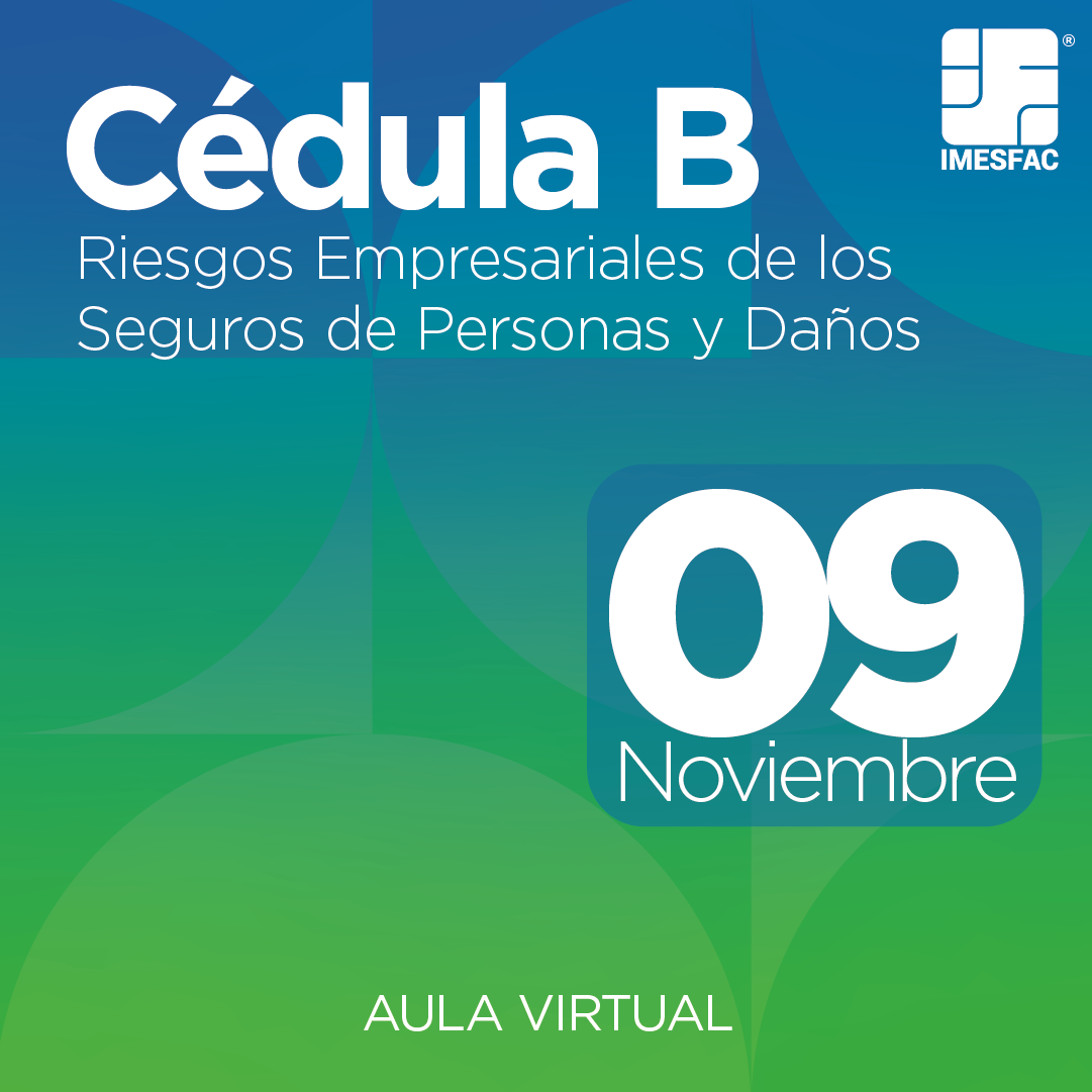 Cédula B: Riesgos Empresariales de los Seguros de Personas y de Daños (Online) - Noviembre 2026
